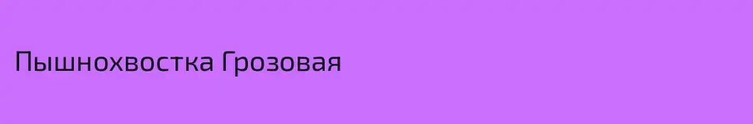 Пышнохвостка Грозовая